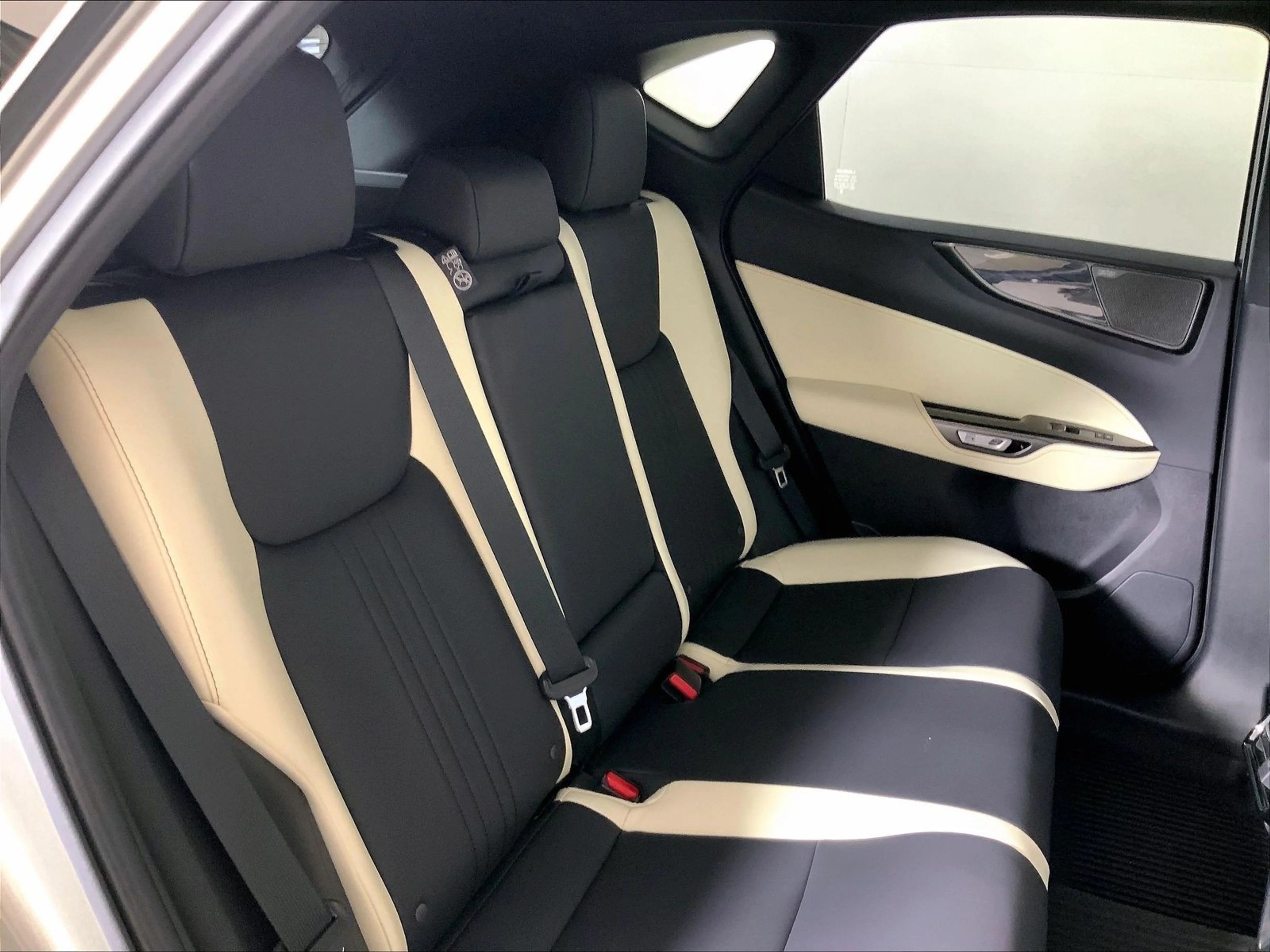 2024 Lexus NX Hybrid 350h - Photo 19