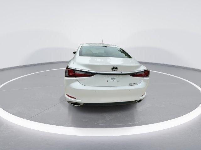 2024 Lexus ES 350 - Photo 7