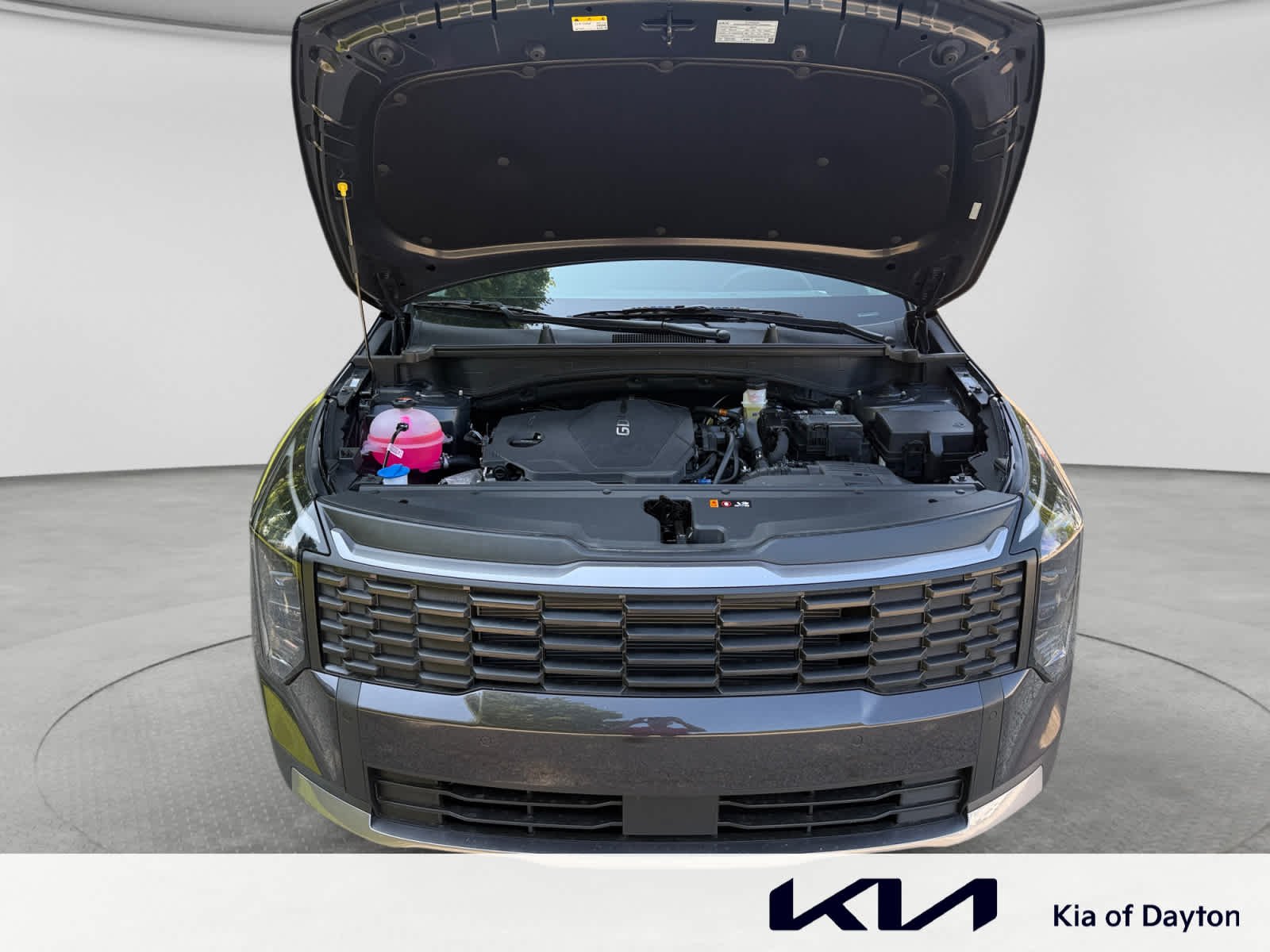 New 2026 Panthera Metal Gray Kia LX image 24