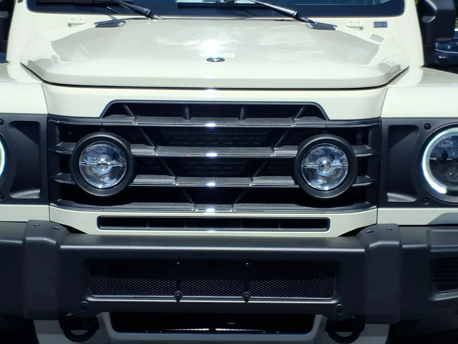 New 2026 SCOTTISH INEOS Fieldmaster Edition image 15
