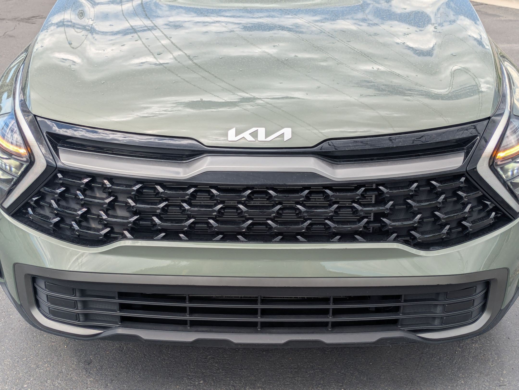 Used 2024 Jungle Green Kia X-Line image 9