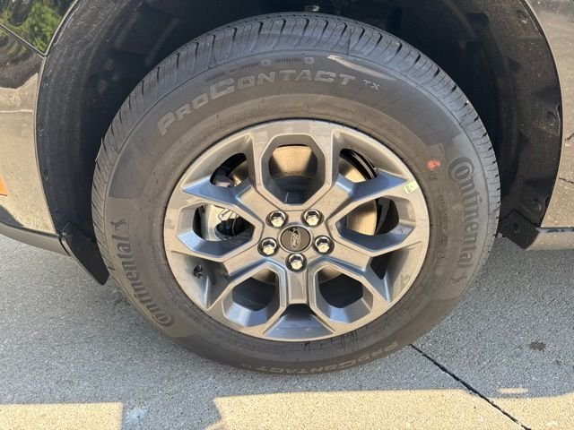 New 2026 Shadow Black Ford XLT image 11