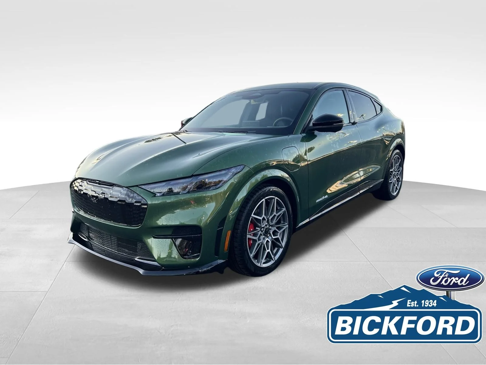 2025 Ford Mustang-Mach-e GT's photo