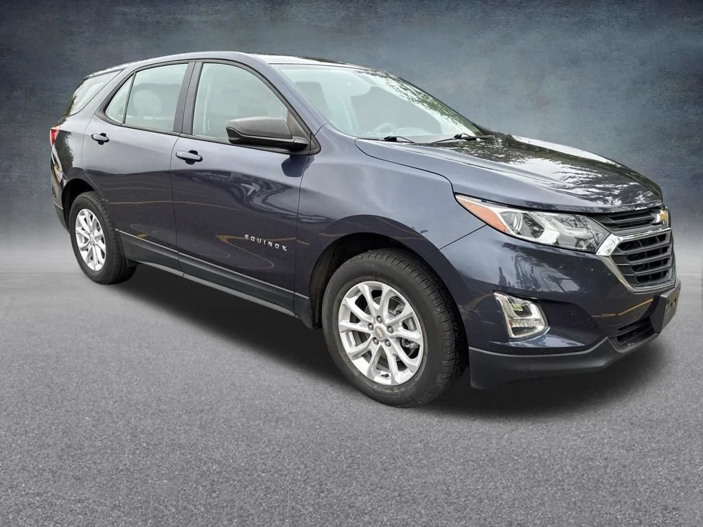 Used 2019 Blue Chevrolet LS image 8
