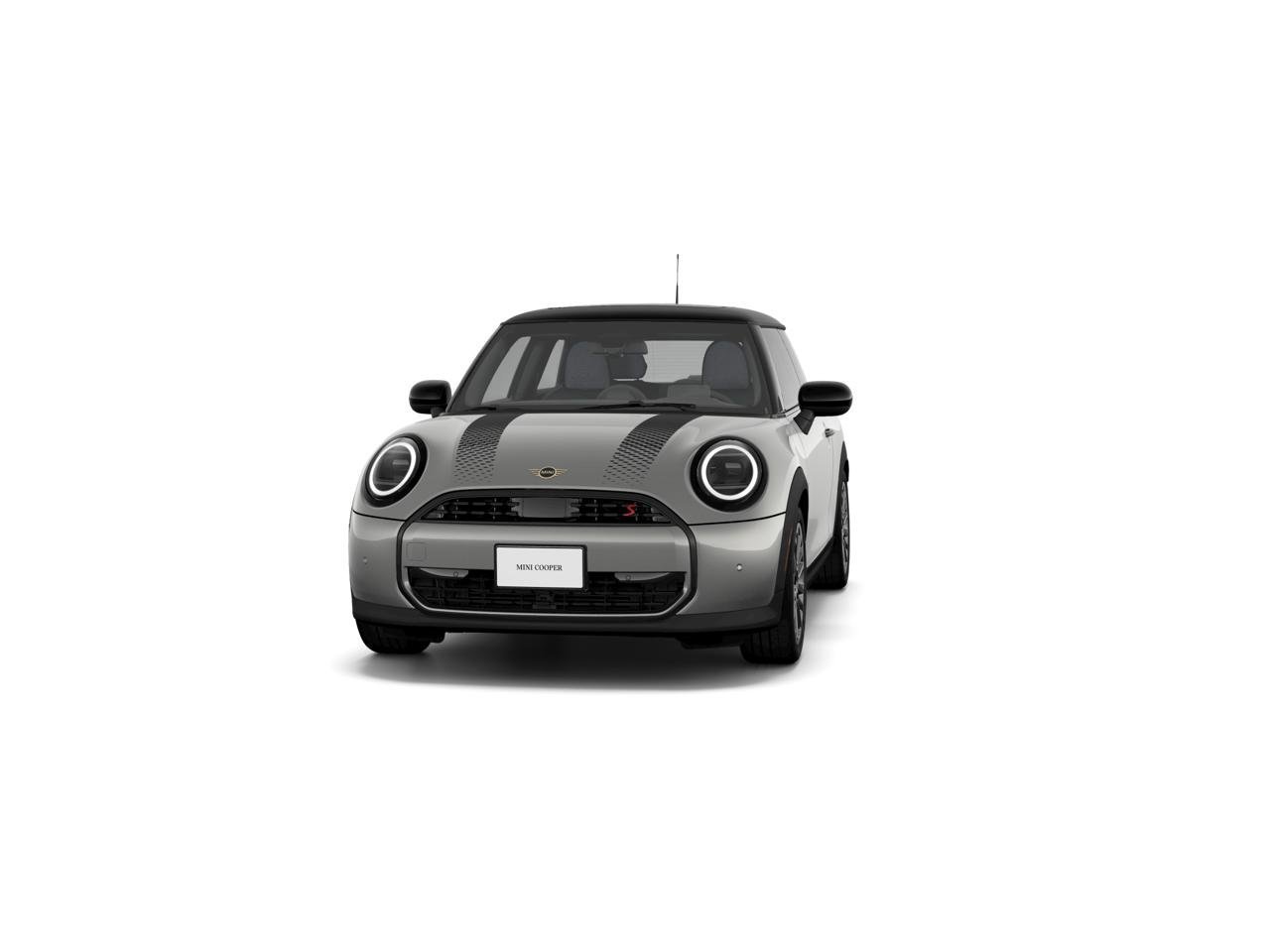 New 2026 Melting Silver III Metallic MINI Signature Plus image 3