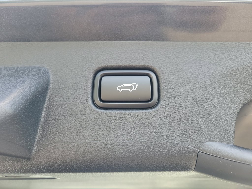 New 2026 Panthera Metal Kia EX image 15
