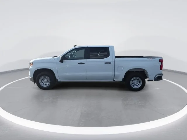 Used 2023 White Chevrolet WT image 5