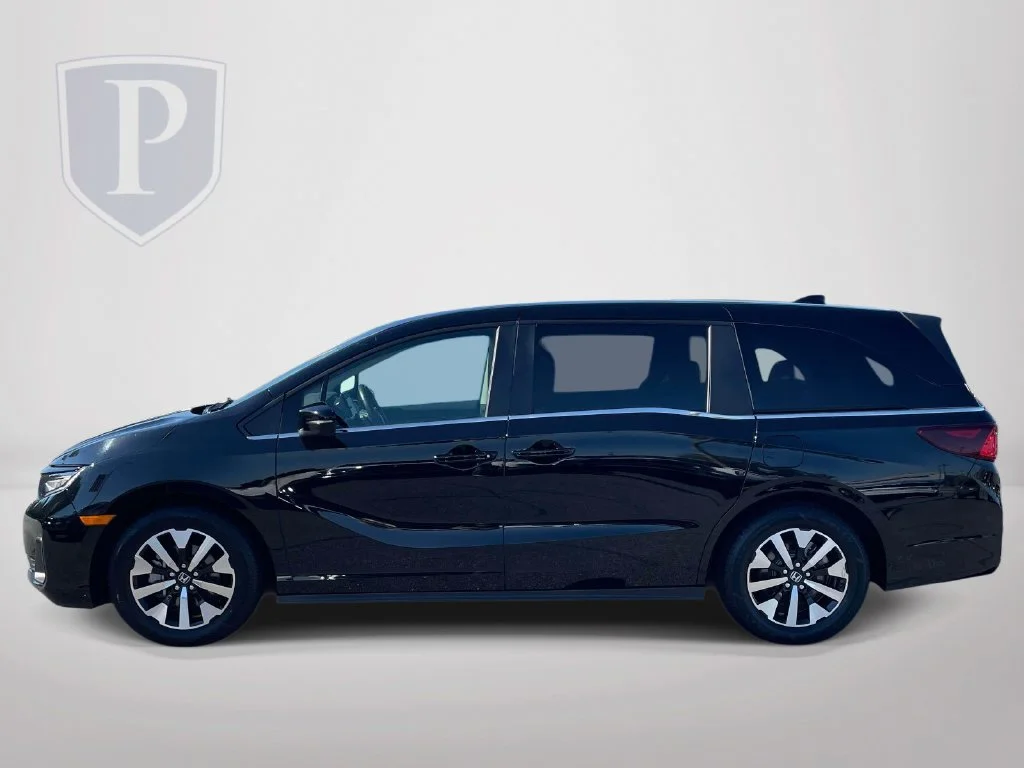 Used 2025  Honda EX-L image 5