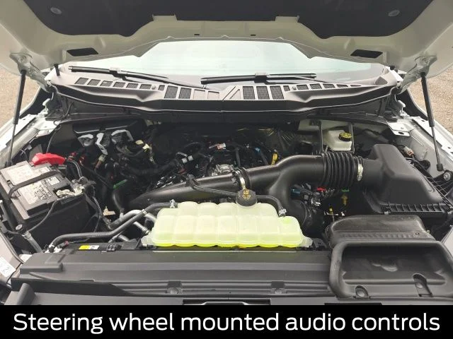 New 2026 Oxford White Ford XLT image 13