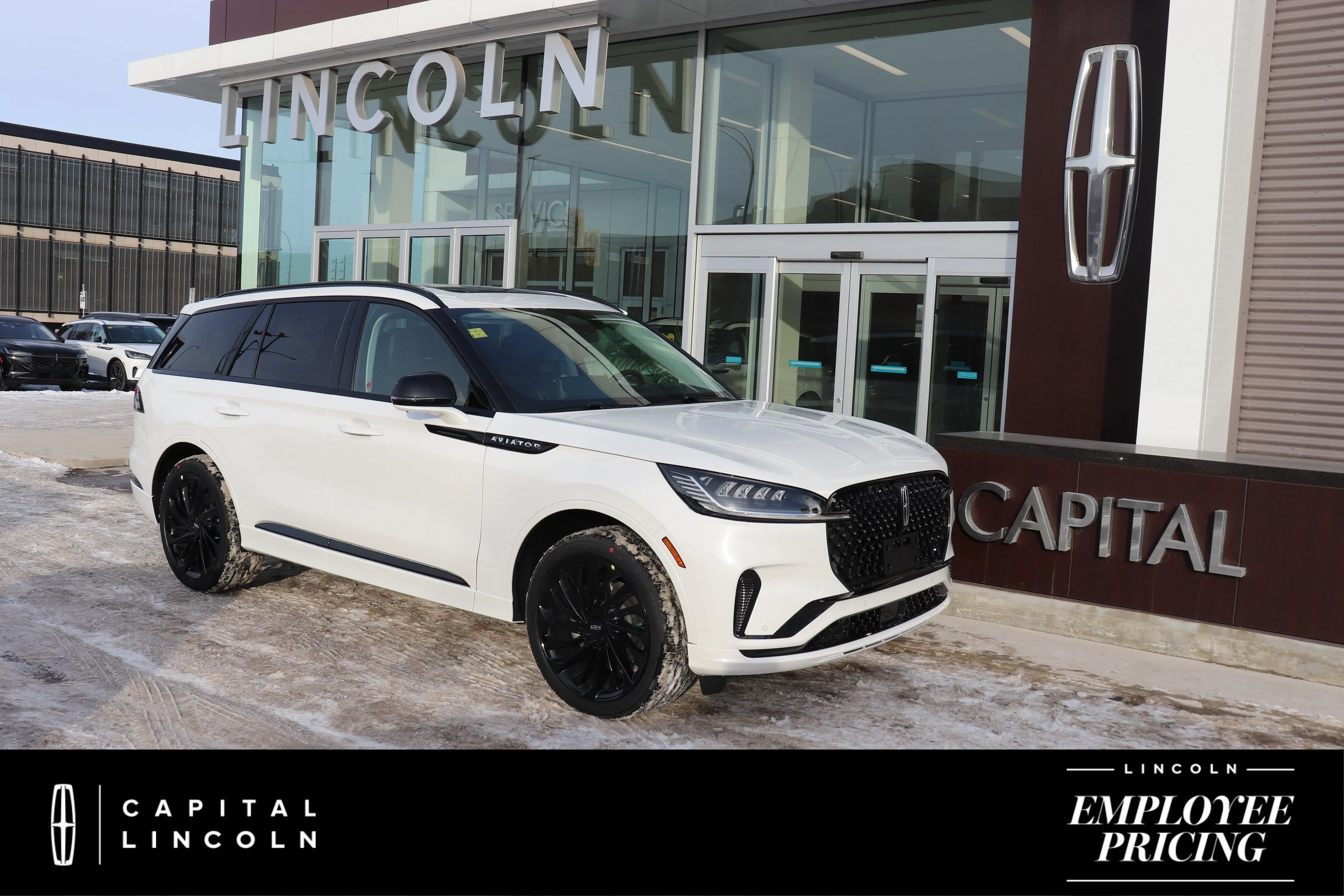 New 2026 PRISTINE WHITE MET 3C Lincoln Reserve image 1