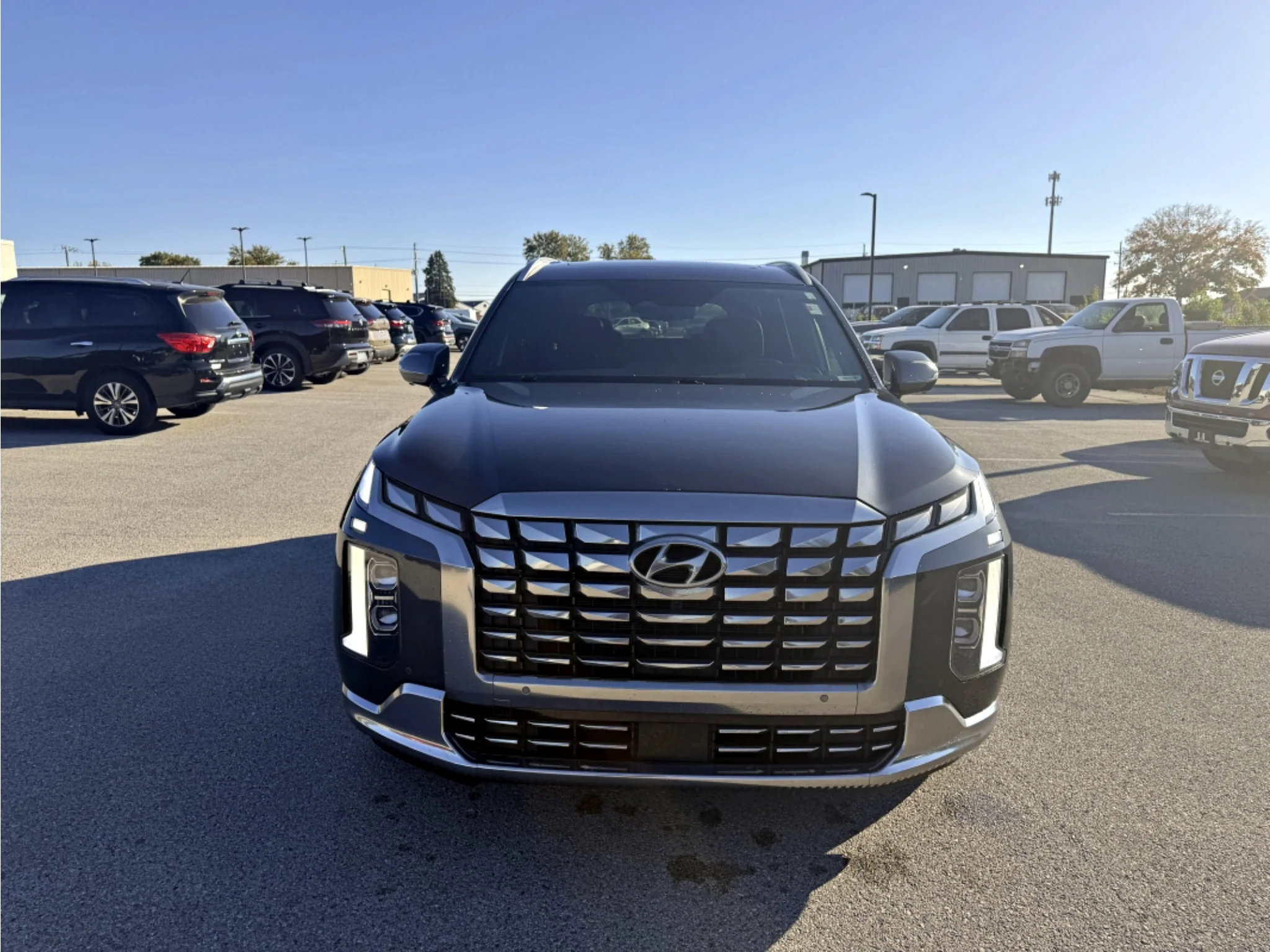 Used 2024 Steel Graphite Hyundai Calligraphy image 15