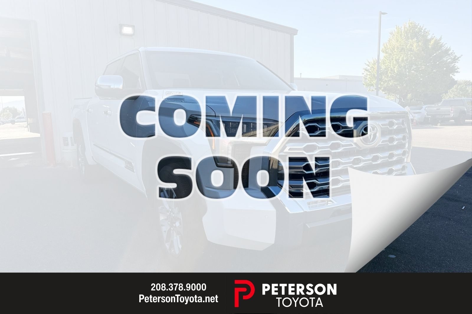 Used 2026 Beige Toyota 1794 Edition image 1