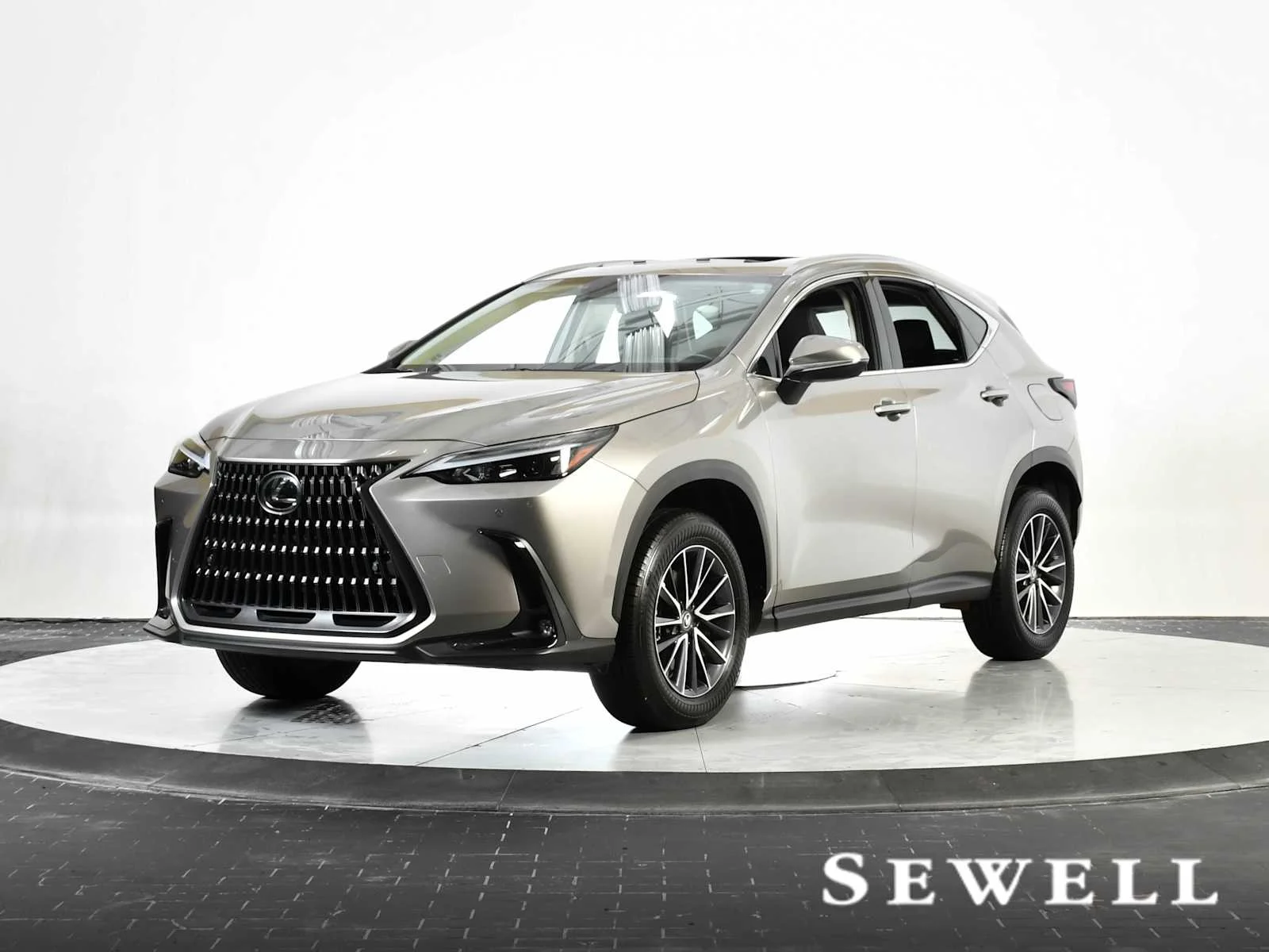 2025 Lexus NX 250 Premium