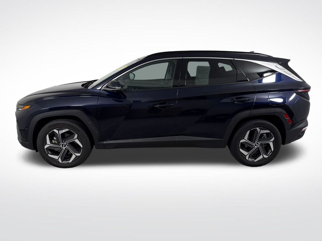 2024 Hyundai Tucson Limited - Photo 8