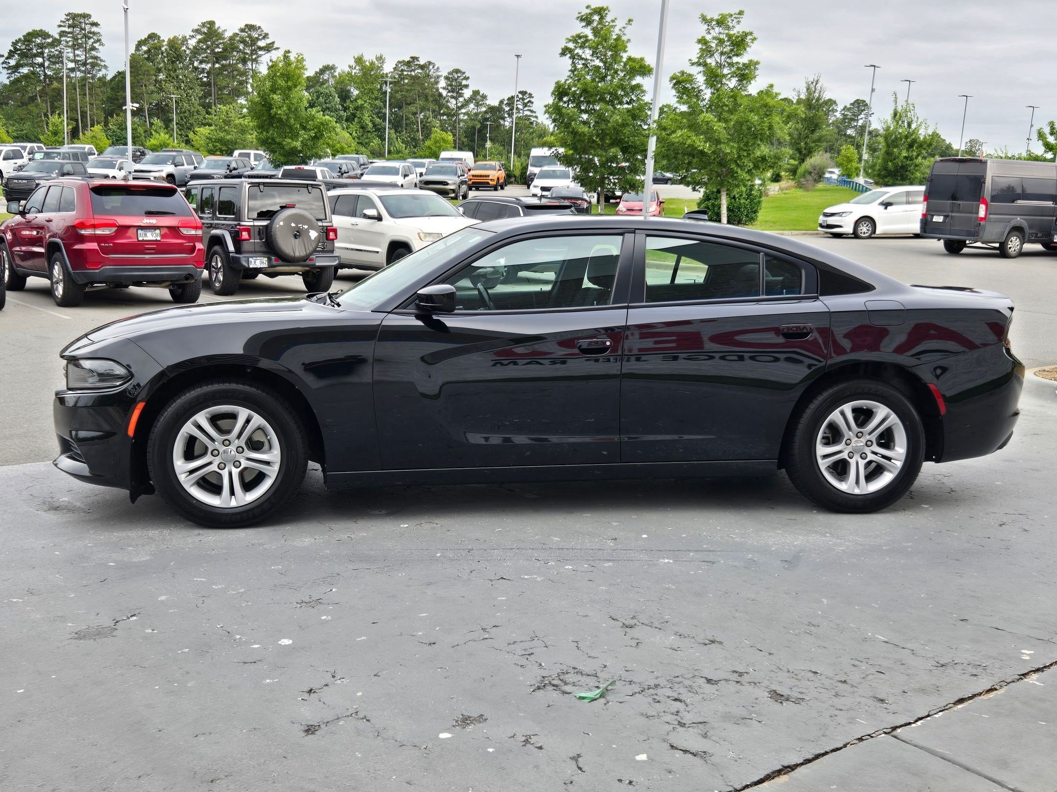 Photo 4