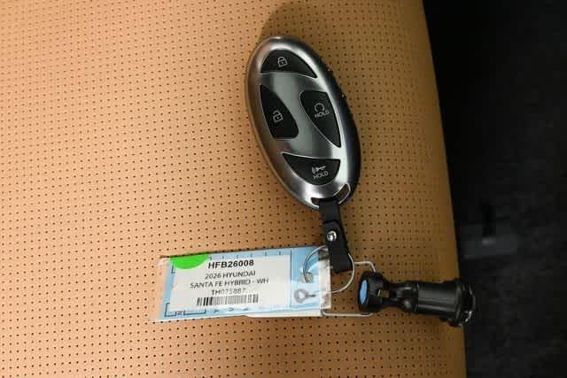 New 2026 Ecotronic Gray Matte Hyundai Calligraphy image 70