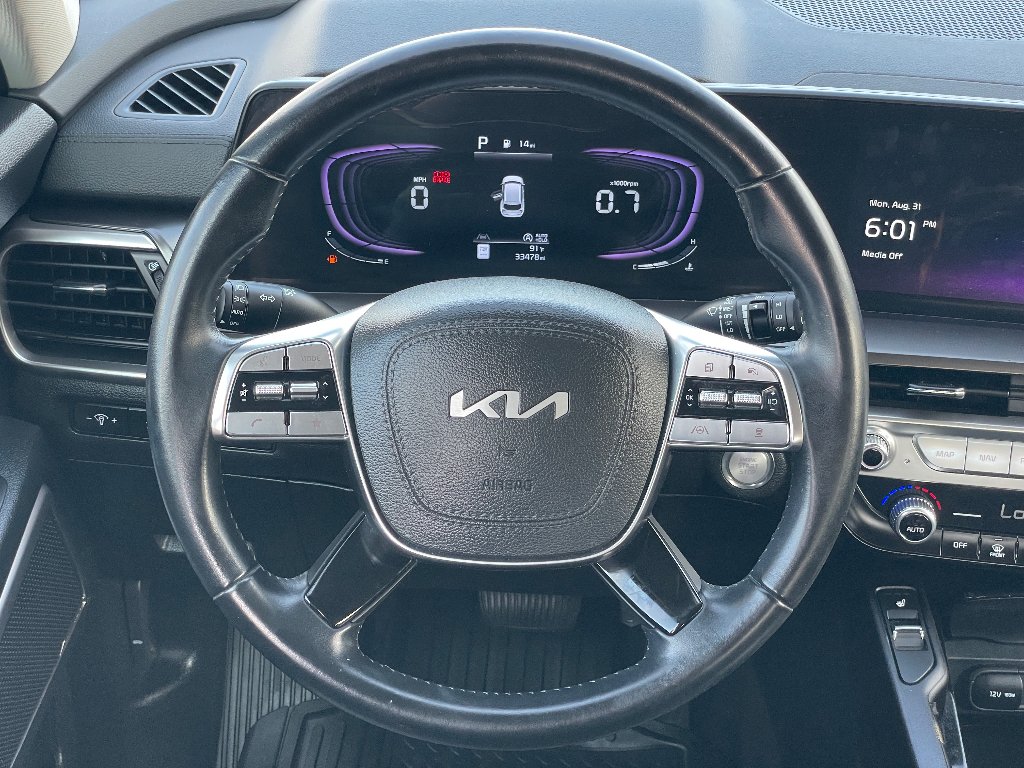 Used 2025 Panthera Metal Kia S image 5