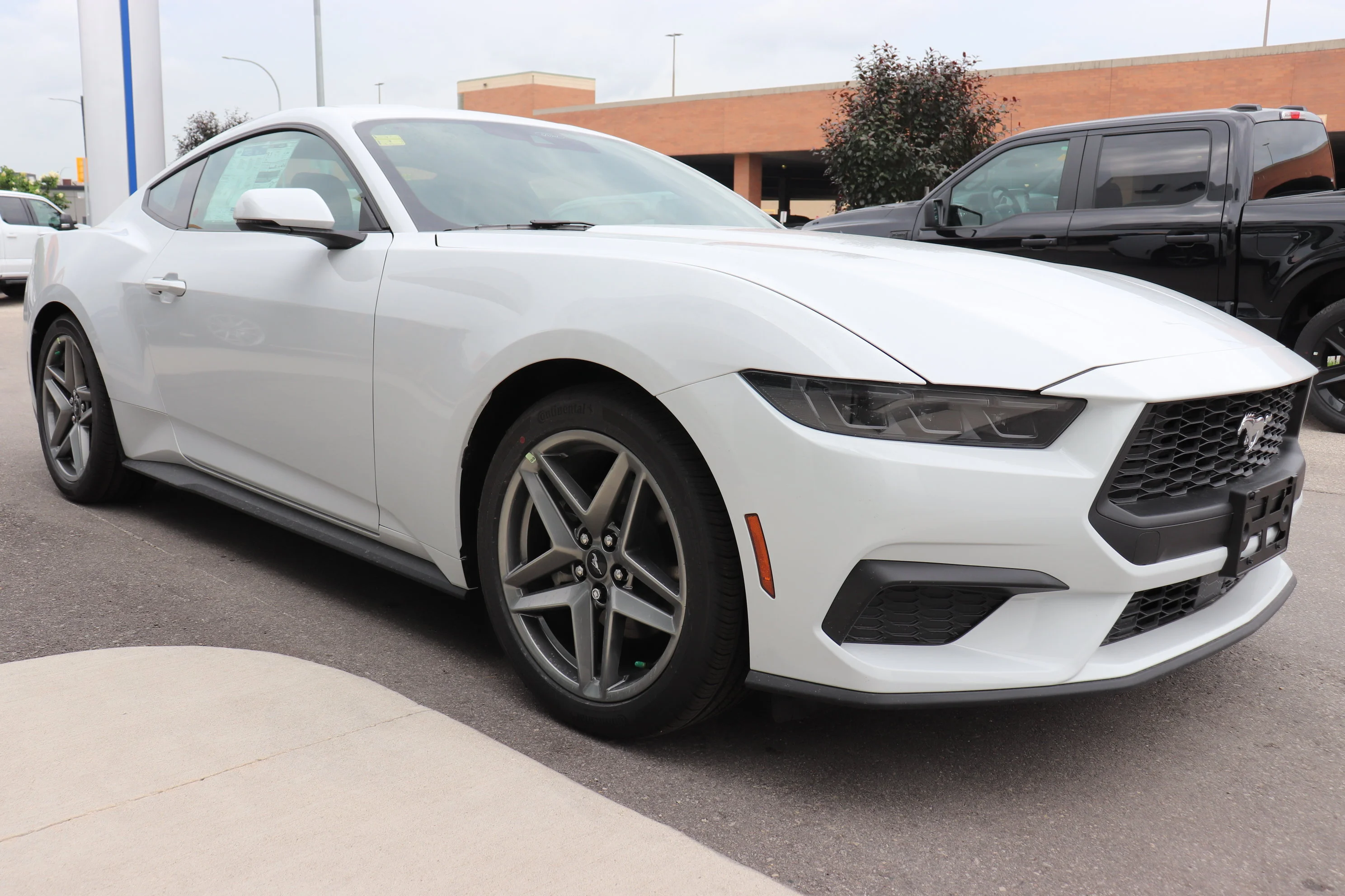 New 2026 OXFORD WHITE Ford EcoBoost Premium image 5