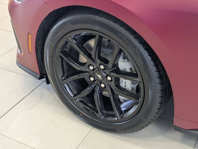 New 2026 Molten Magenta Metallic Tinted Clearcoat Ford GT Fastback image 22
