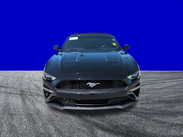 Used 2019 Black Ford EcoBoost Premium image 9