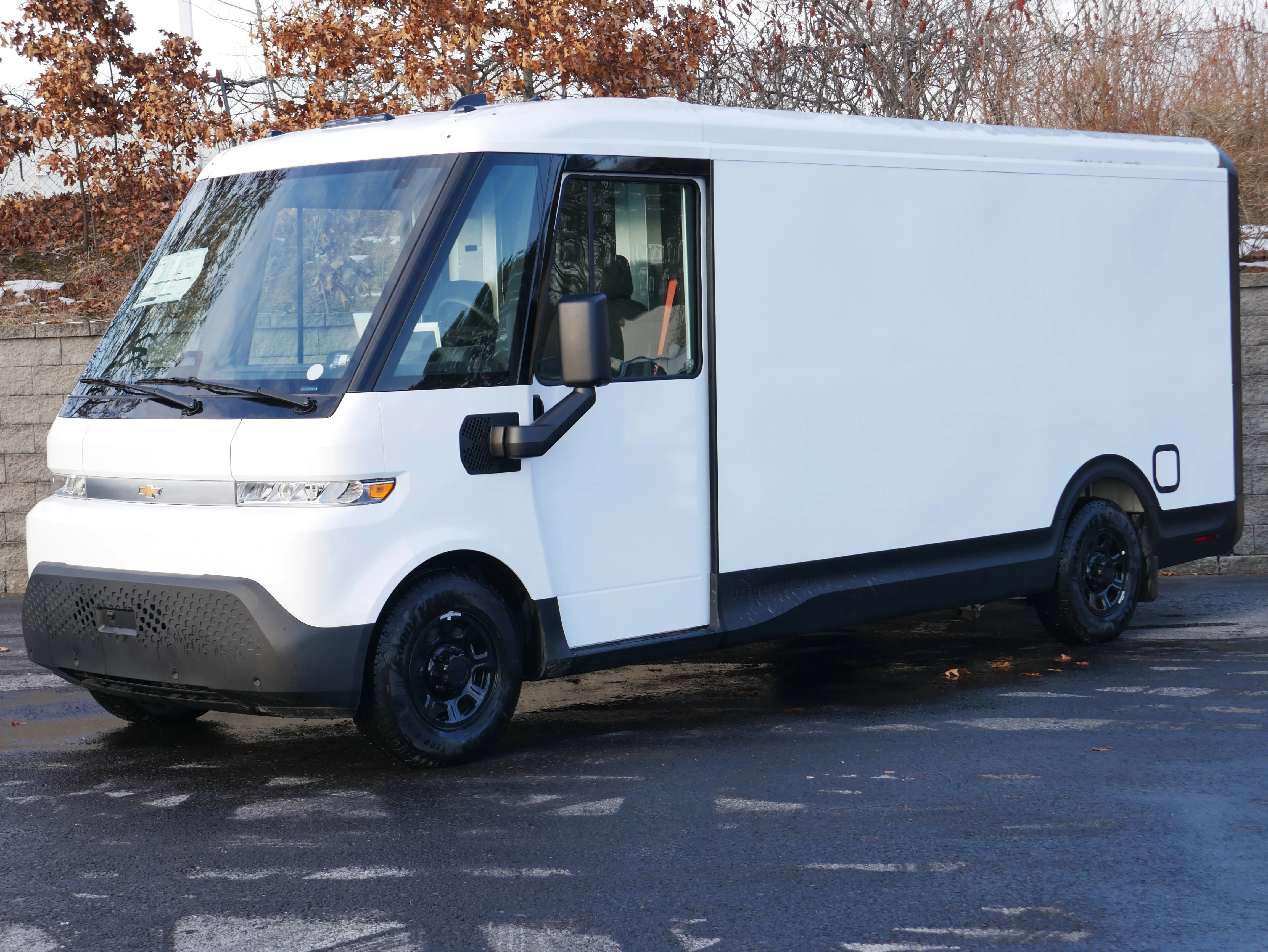 2025 Chevrolet BrightDrop BrightDrop 600 AWD's photo