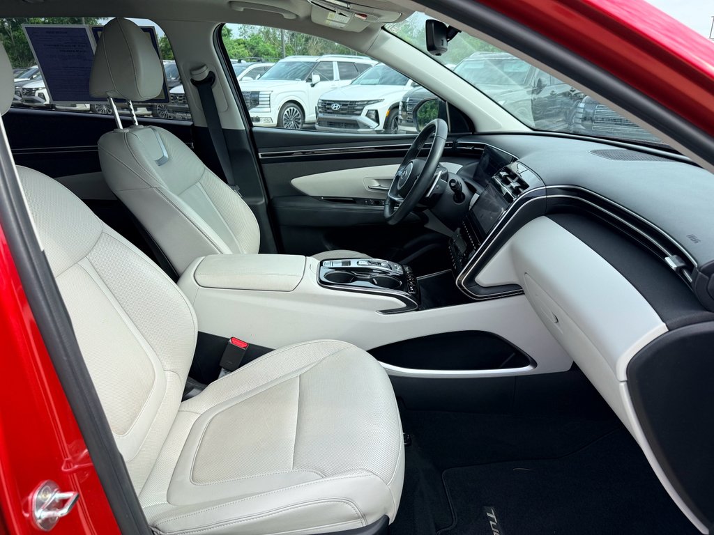 Certified Used 2023 Calypso Red Hyundai Limited image 11