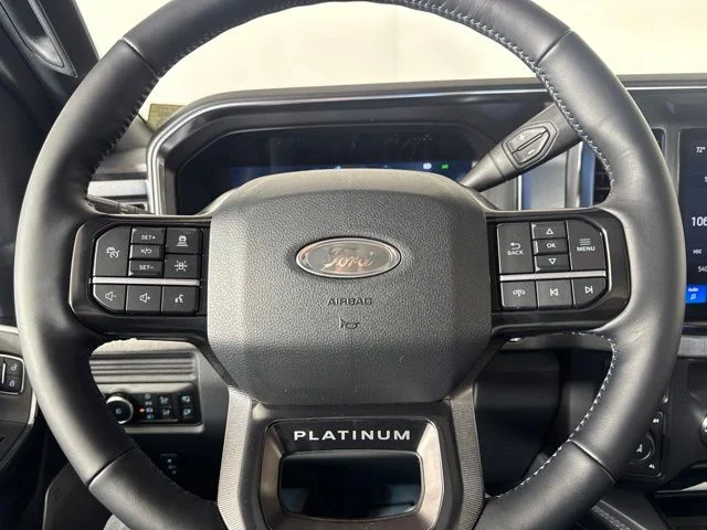 New 2026 Agate Black Metallic Ford Platinum image 19