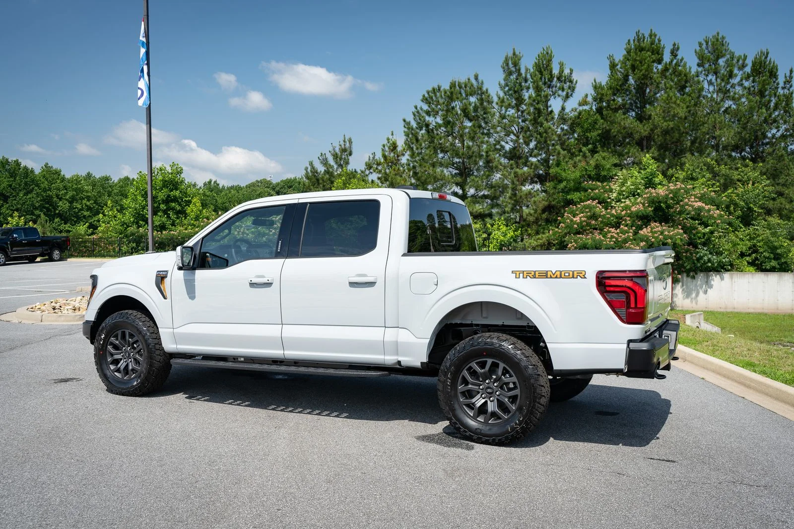 New 2026 White Ford Tremor image 16