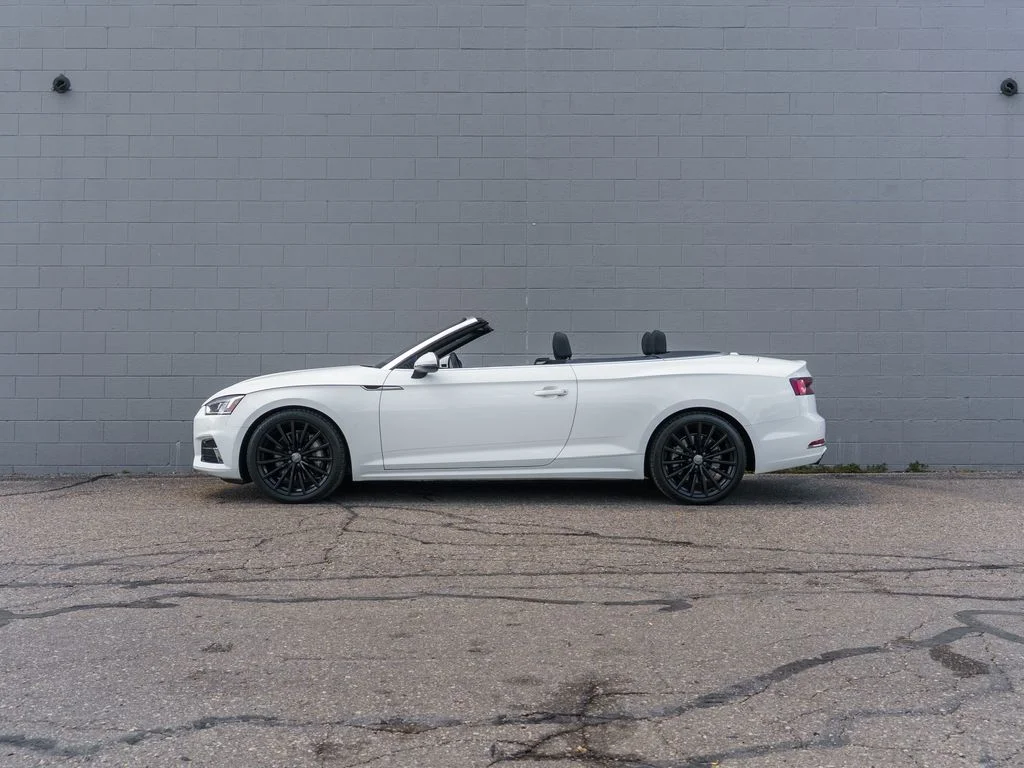 Used 2019 Ibis White Audi 2.0T Premium Plus image 2