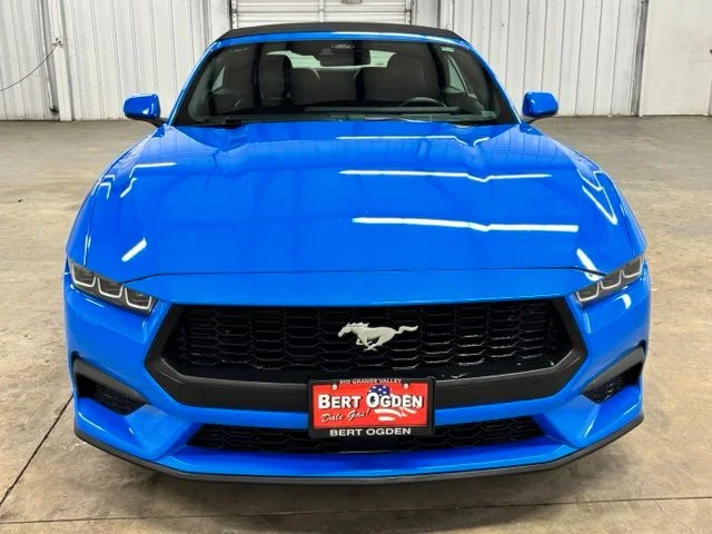 Used 2025 Blue Ford EcoBoost Premium image 2