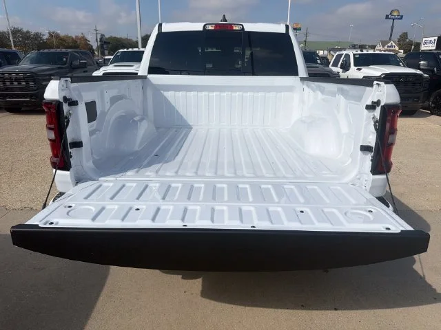 New 2027 Bright White Clear-Coat Exterior Paint RAM Express image 11