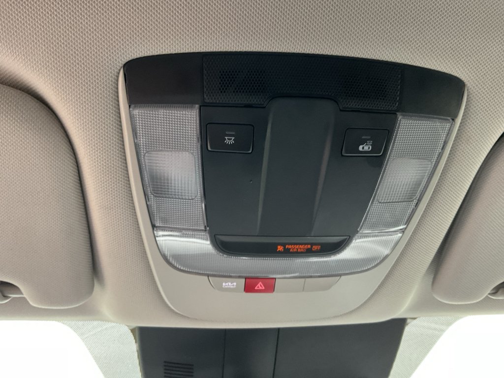 Used 2025 Panthera Metal Kia LX image 34