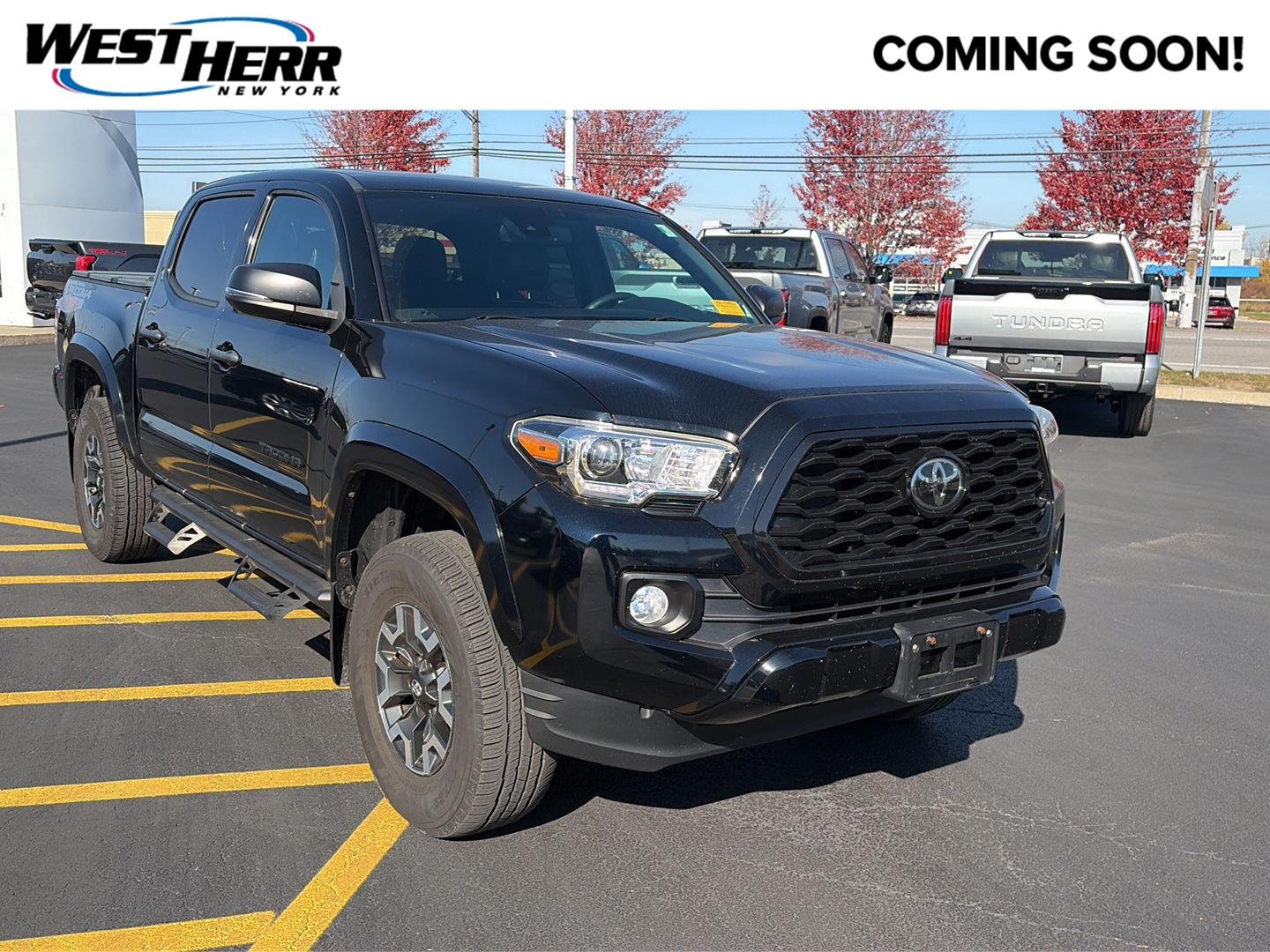 Used 2019 Midnight Black Metallic Toyota Limited image 1