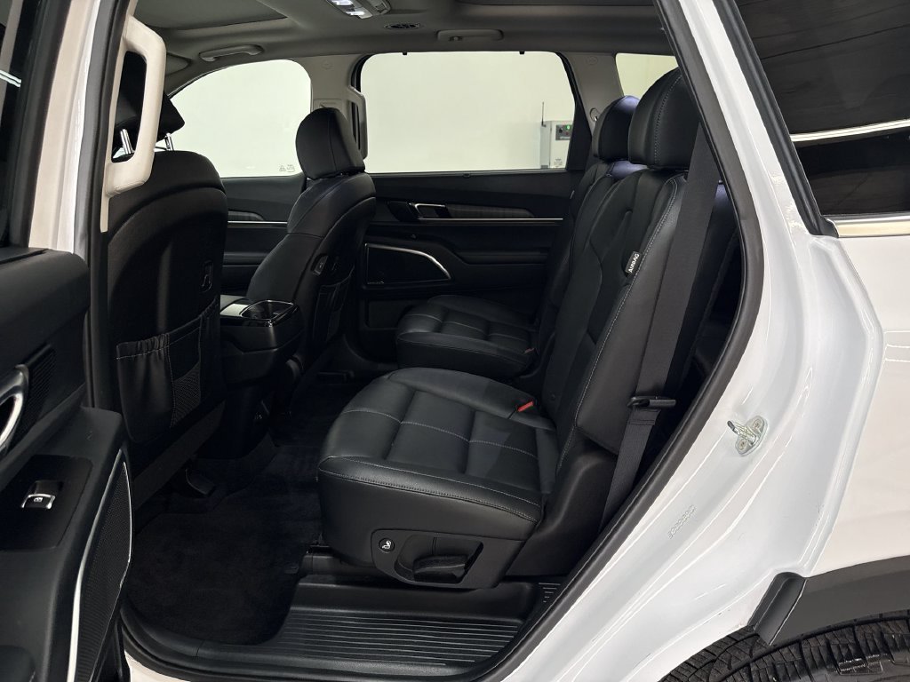 Used 2024 White Pearl Kia SX image 16