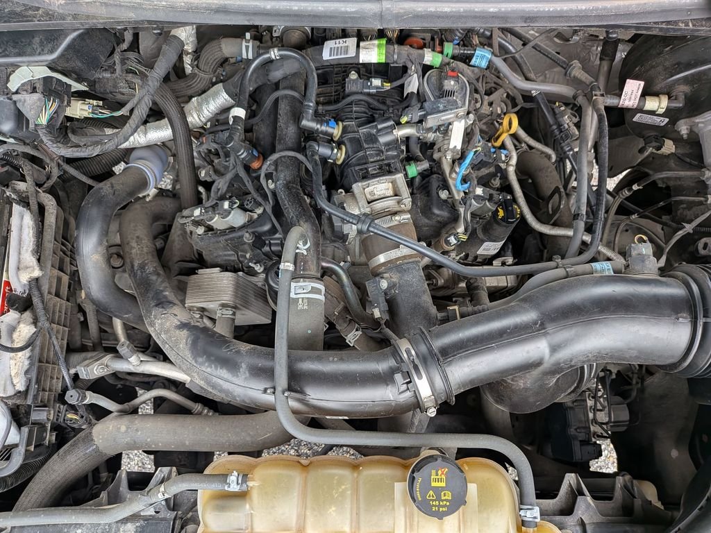 Used 2019 Blue Ford XLT image 13