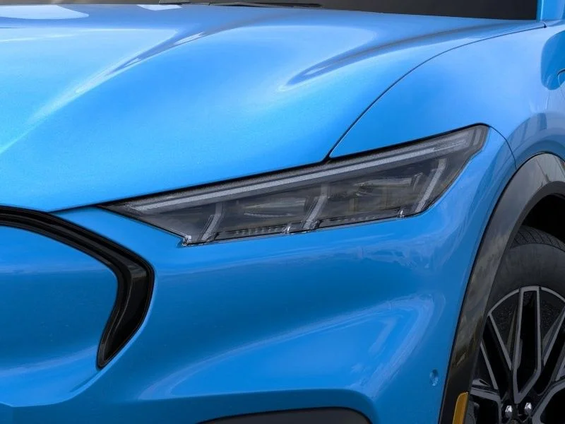 New 2024 Blue Ford Premium image 19