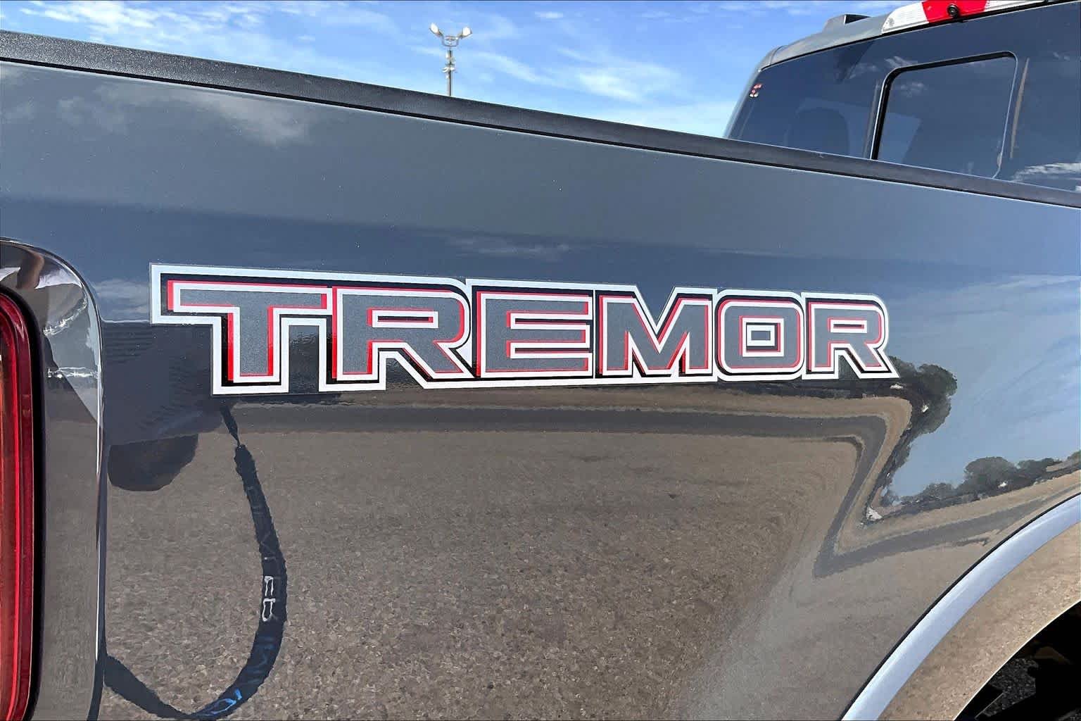Used 2021 Lithium Gray Ford Platinum image 33