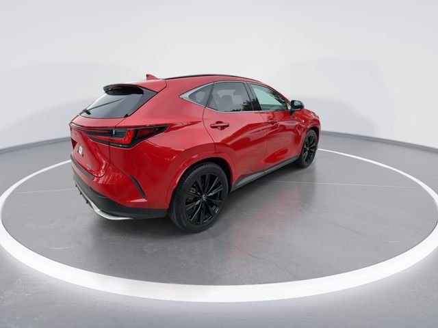2024 Lexus NX 350 - Photo 8