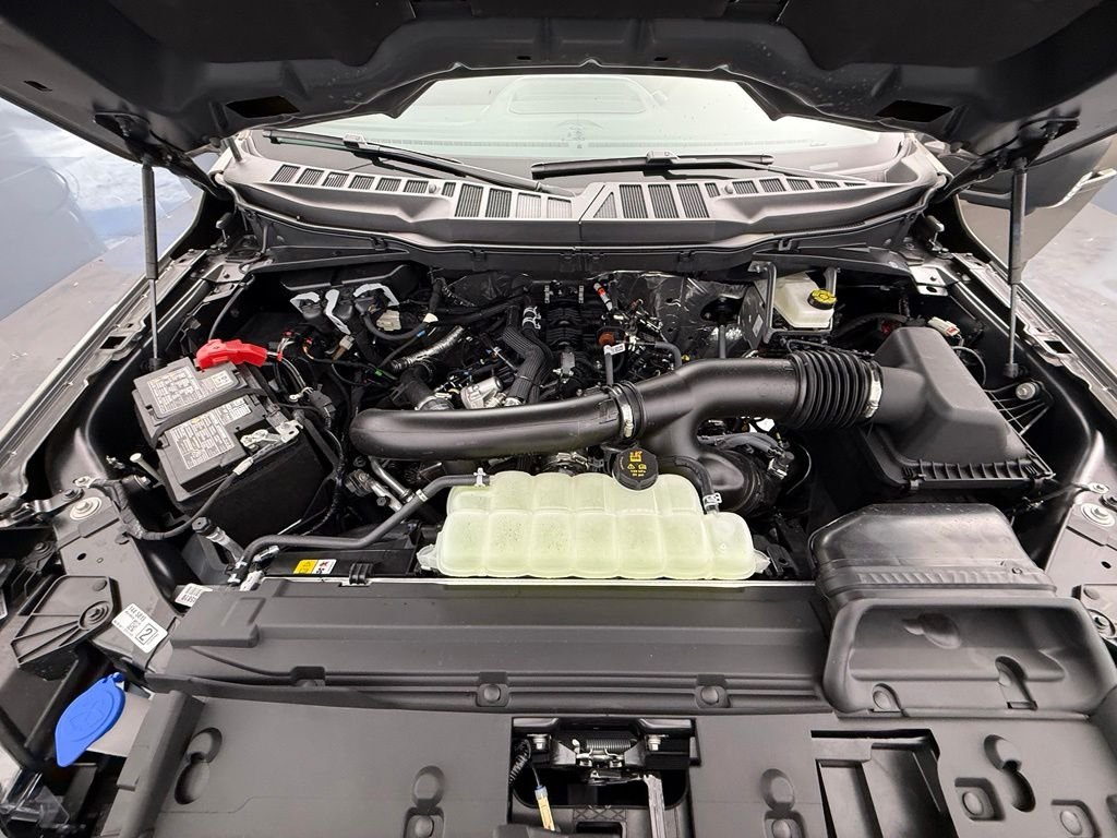 New 2026 Marsh Gray Ford XLT image 8