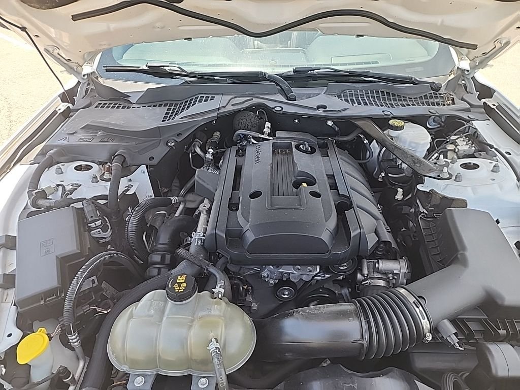 Used 2018 White Ford EcoBoost Premium image 3