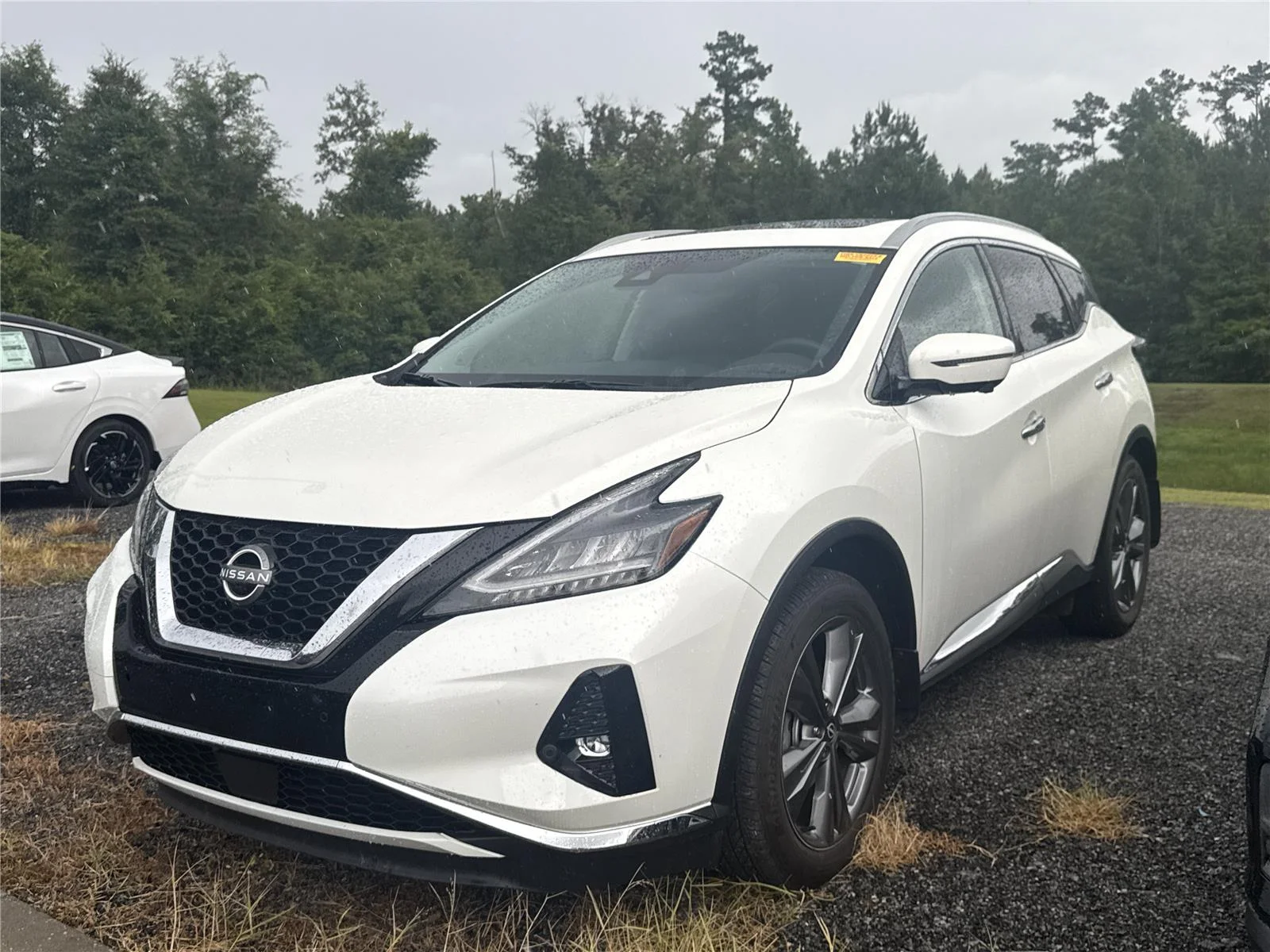 Used 2024 Pearl White Tricoat Nissan Platinum image 4