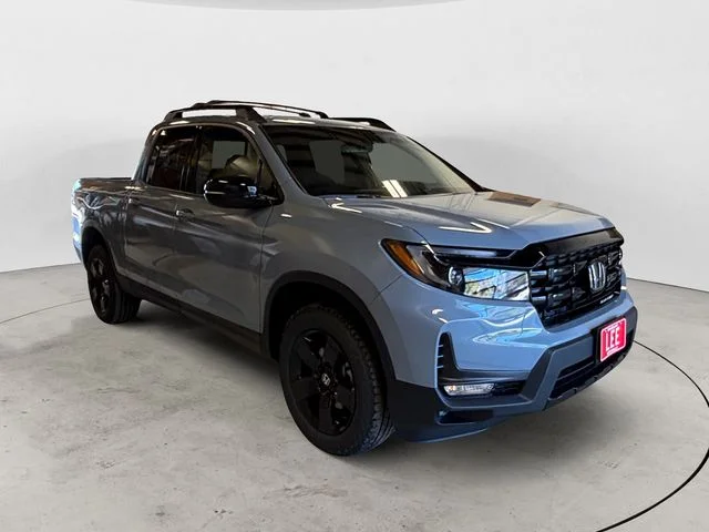 New 2026 Gray Honda Black Edition image 8