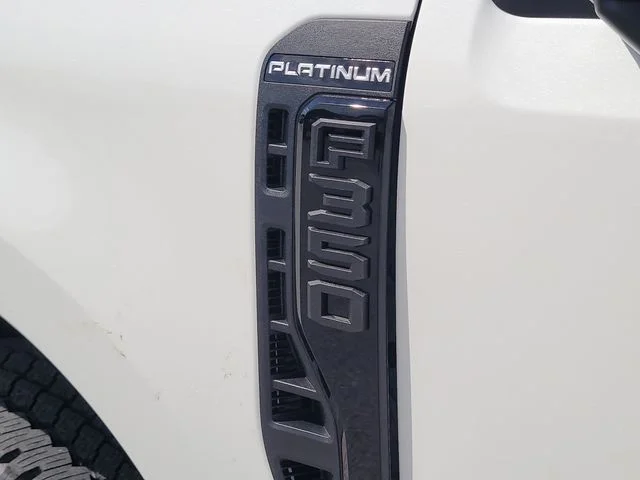 New 2026 White Metallic Ford Platinum image 9