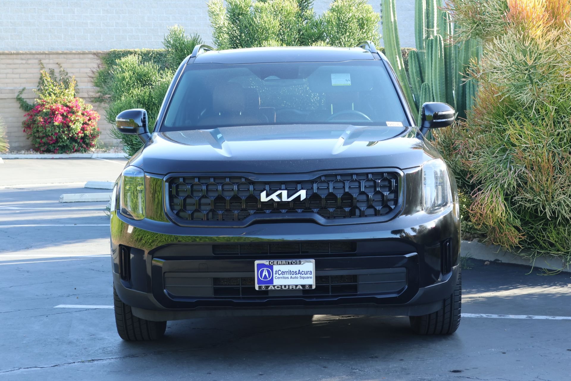 Used 2024 Black Kia EX X-Line image 3