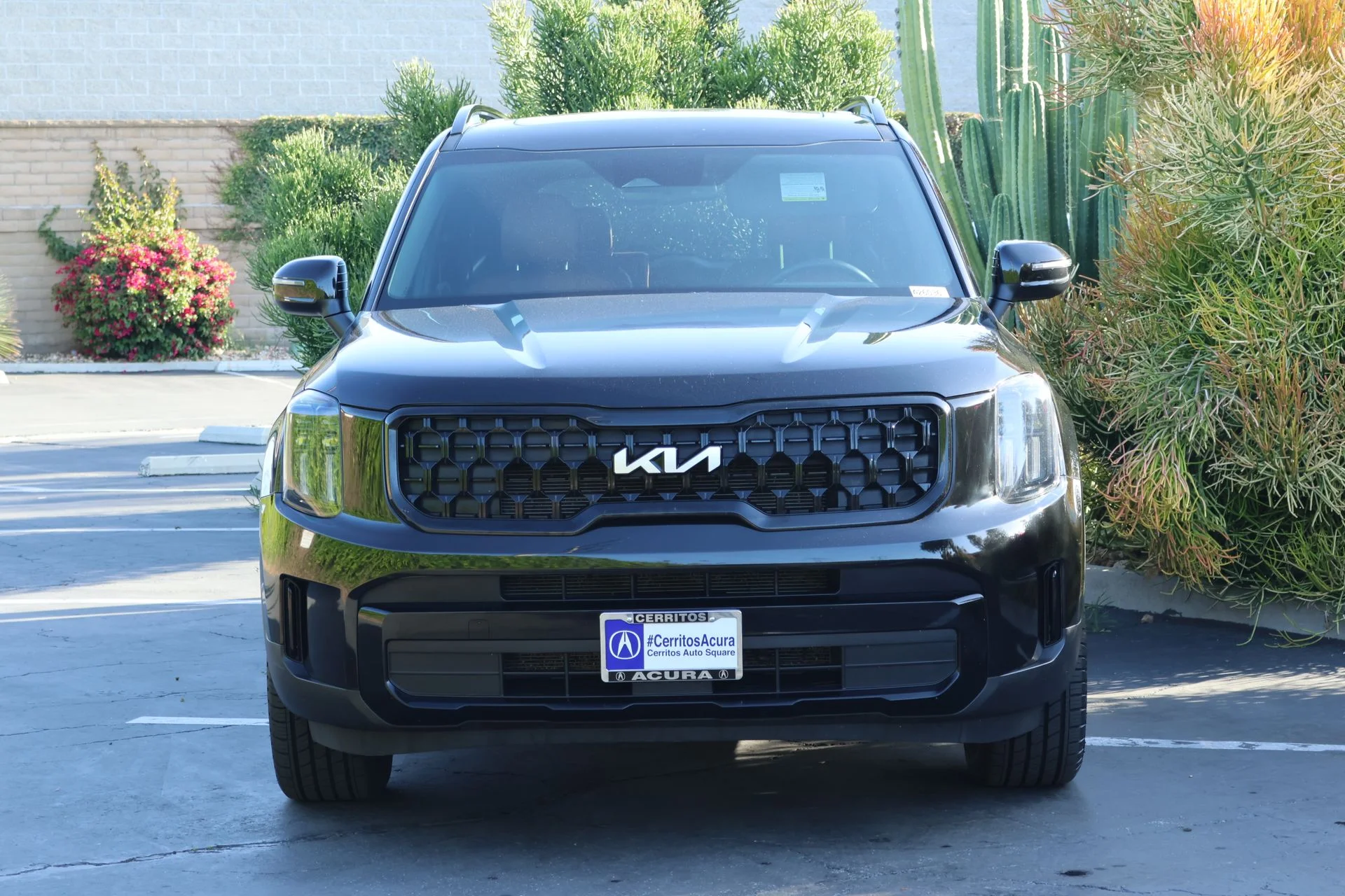 Used 2024 Black Kia EX X-Line image 3