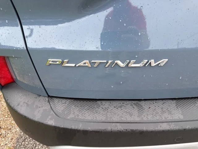 Used 2024  Ford Platinum image 15