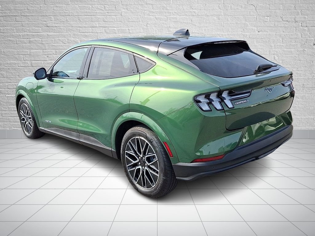 New 2025 Eruption Green Metallic Ford Premium image 6