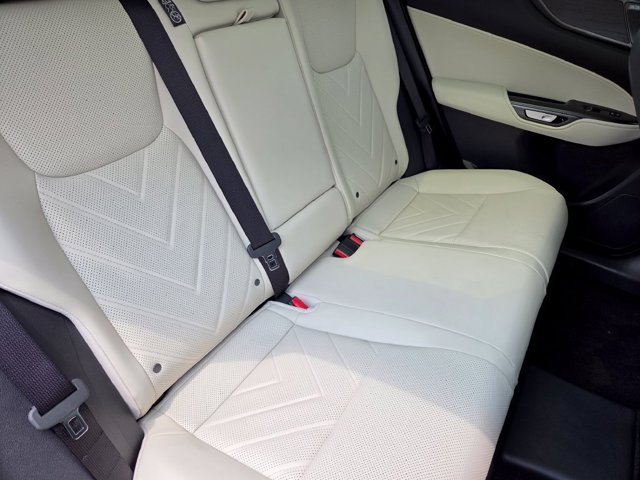 New 2026 Caviar Lexus LUXURY AWD image 12