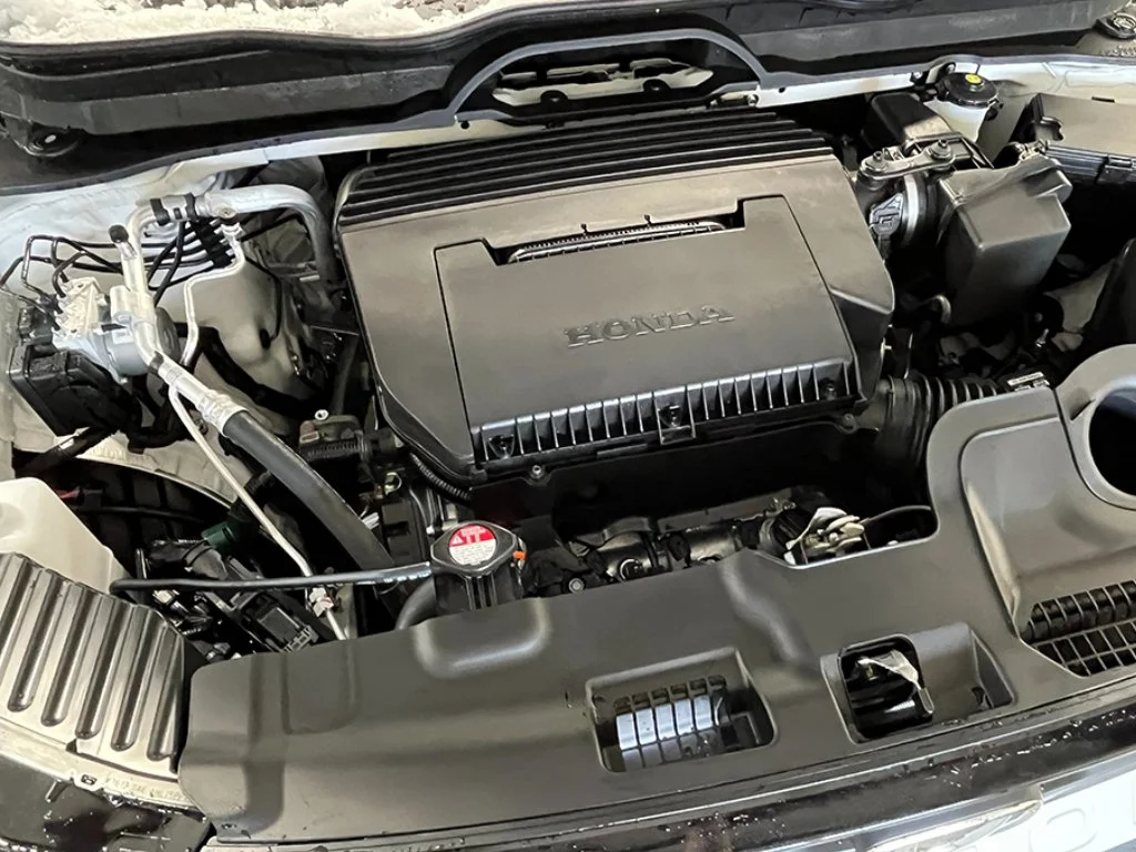 New 2026 White Honda RTL image 11