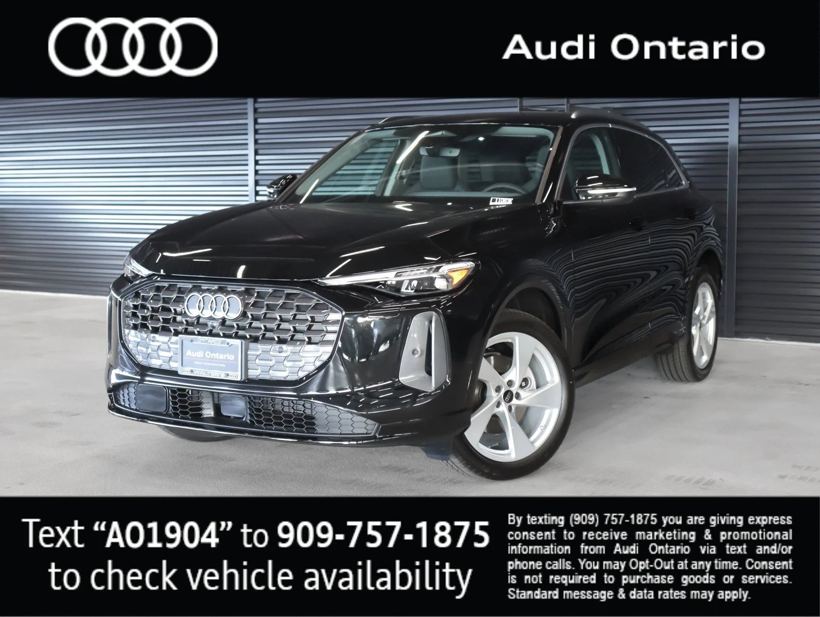 2025 Audi Q5 40 Premium Plus's photo
